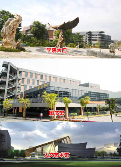 重庆艺术工程职业学院成四川艺术类专科填报的