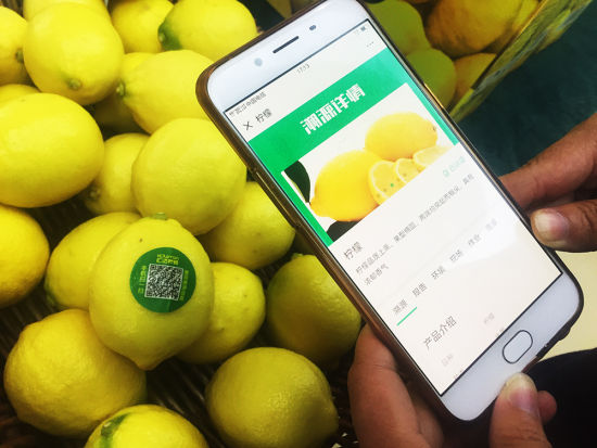 通过智能追溯系统，消费者能清楚的知道，自己买的柠檬产地、大小、采摘时间等数十项相关信息。记者 王翔 摄