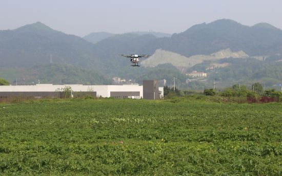 图为重庆首个5G网联无人机植保项目成功落地，正在为试验田喷淋植保并收集作物生长数据。中国移动重庆公司供图