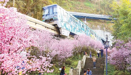重庆“开往春天的列车”引爆网络