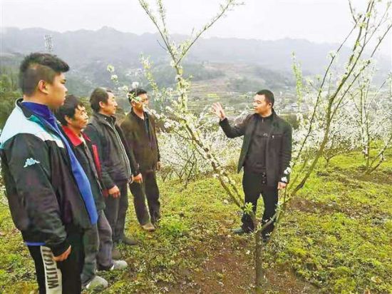 陈国强（右）给村民讲解果树春季管护技术。（受访者供图）