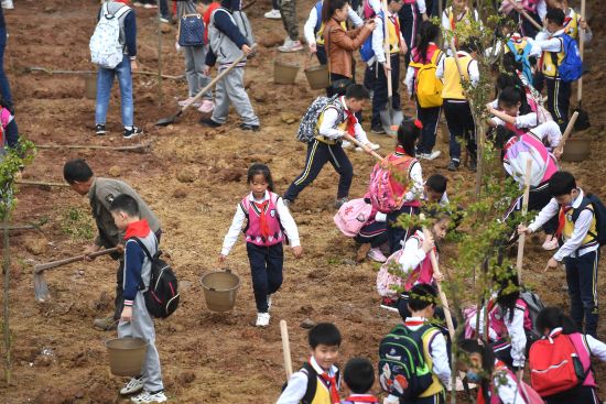 重庆：“共植少年林 同创碳中和”自然生态专题教育实践活动举行