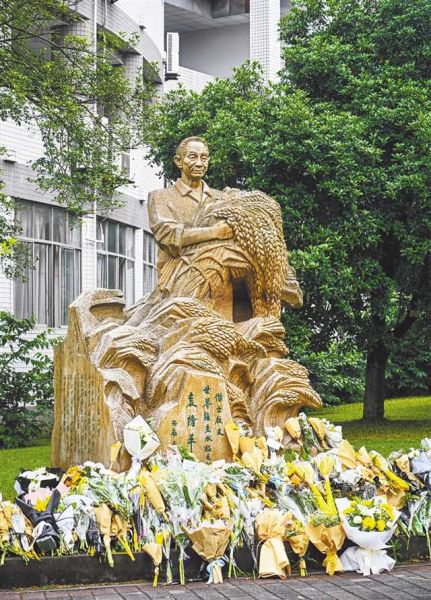 5月22日，西南大学，师生们纷纷自发来到校园中的袁隆平塑像前敬献鲜花，以寄托哀思。记者 万难 摄/视觉重庆