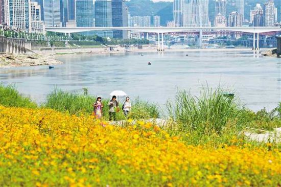 绿水青山看重庆|“两江四岸”核心区岸线治理成效显著