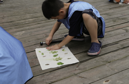 图为孩子学习植物知识，动手参与植物标本制作和植物拓印。 重庆移动供图