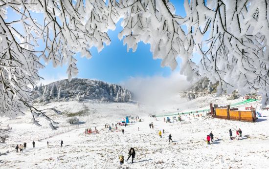 1月1日，游客在南川金佛山景区戏雪赏雪，尽享冰雪乐趣。罗川 摄