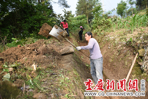 重庆武隆县市政园林局加大环境综合整治--重庆